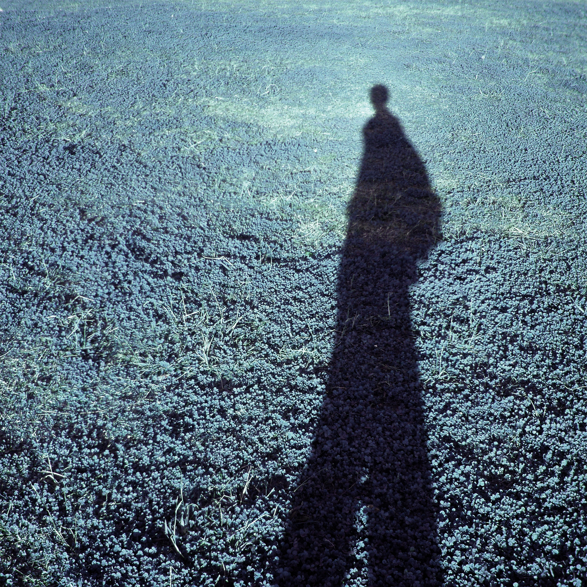 EZFGのサムネイル画像